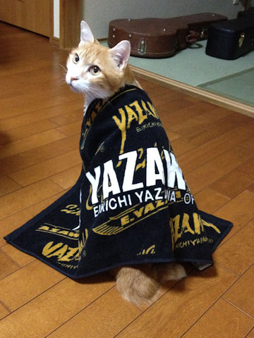 yazawa