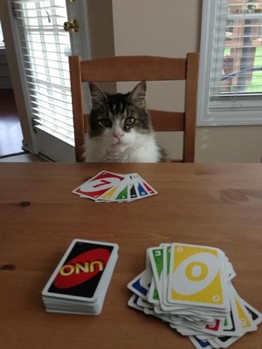 uno